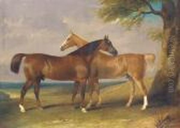 Two Horses Resting Oil Painting by Henry Barraud