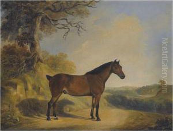 A Pony In A Landscape Oil Painting by William Barraud