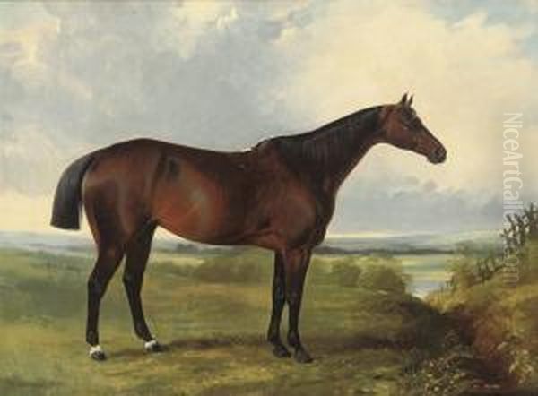 A Bay Hunter In A Landscape Oil Painting by William Barraud