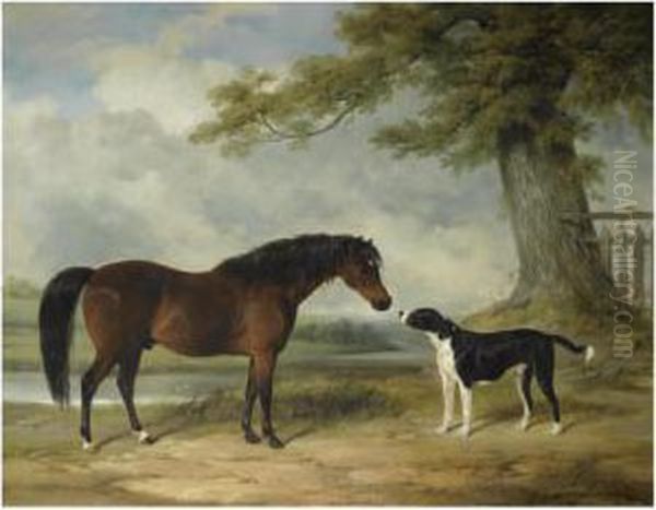 A Pony With A Dog Oil Painting by William Barraud