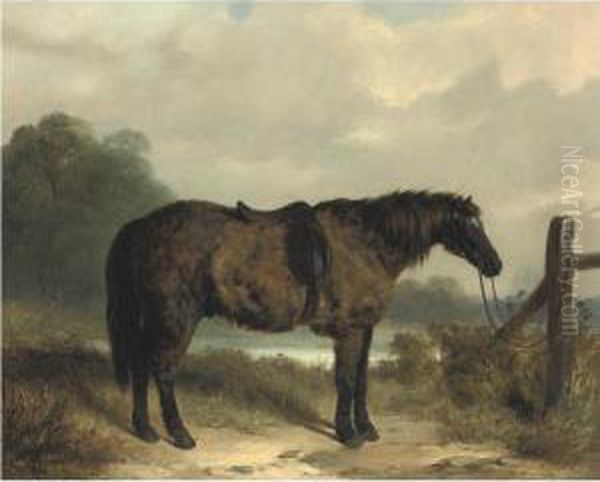 A Rough Pony Oil Painting by William Barraud