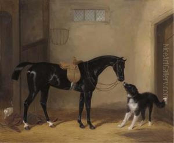 Portrait Of A Saddle Black Hunter With A Sheep Dog In Astable Oil Painting by William Barraud