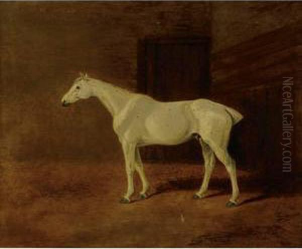 Grey Hunter In A Stable Oil Painting by William Barraud