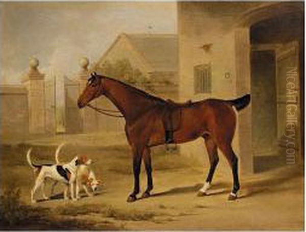 A Bay Hunter And Two Hounds Outside A Stable Oil Painting by William Barraud