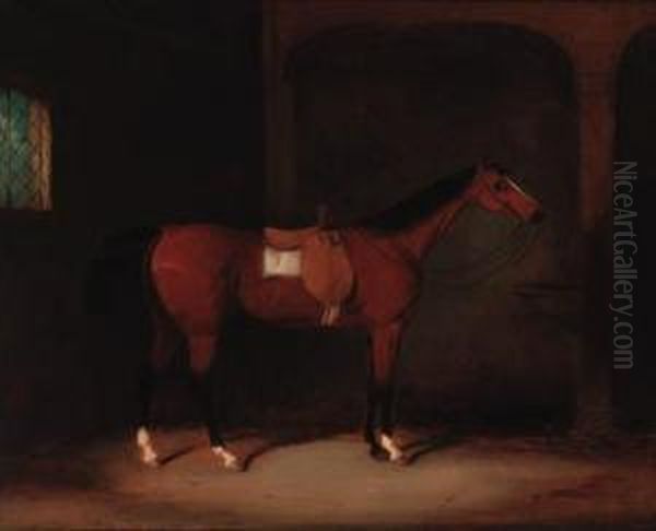 A Bay Hunter Saddled In A Loosebox Oil Painting by William Barraud