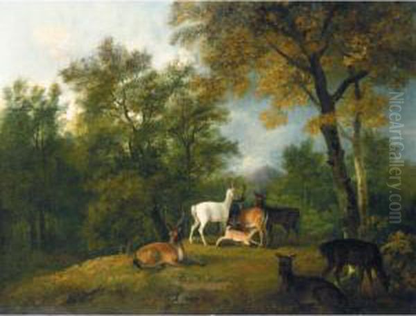 Red Deer Grazing Beneath Trees Oil Painting by George Cuitt