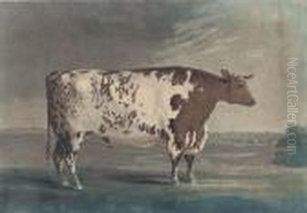 The Ketton Ox, By Robert Pollard Oil Painting by George Cuitt