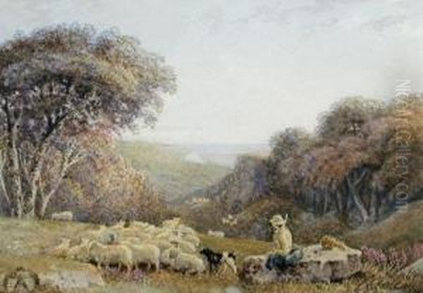 A Shepherd With His Sheep And 
Sheepdog In A Coastallandscape Singed Lower Right 