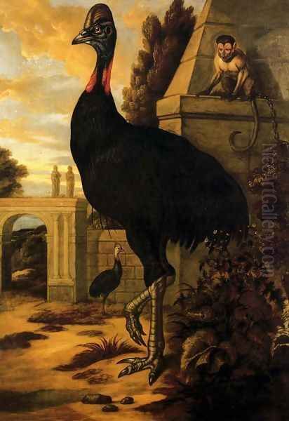 A Cassowary Oil Painting by Francis Barlow