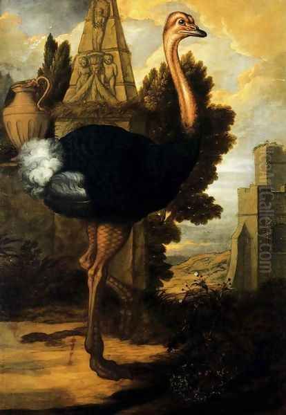 An Ostrich Oil Painting by Francis Barlow