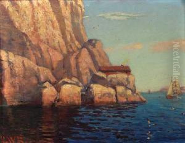 Ettermiddagssol I Kjaerringvik Olje Pa Plate Oil Painting by Carl Wilhelm Barth