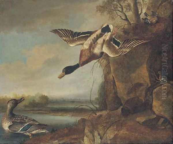 Mallard and chaffinches in a river landscape Oil Painting by Francis Barlow