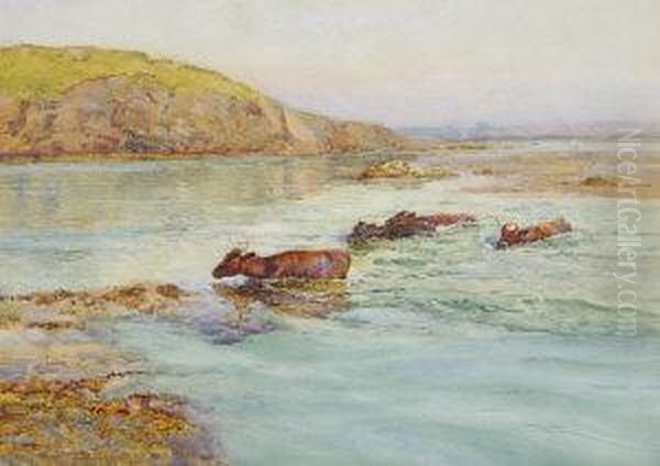 Moving The Cattle To Island Off Donegal Oil Painting by William Henry Bartlett