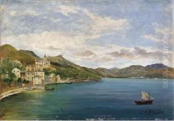 Veduta Di Lerici Oil Painting by William Henry Bartlett