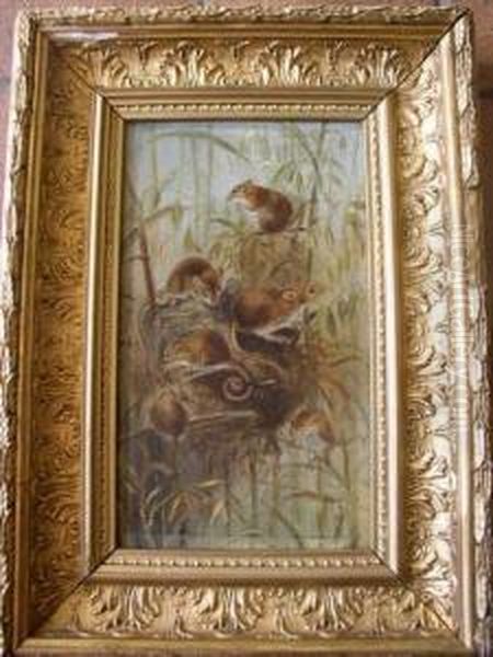 Study Offieldmice Oil Painting by Mary Georgina Barton