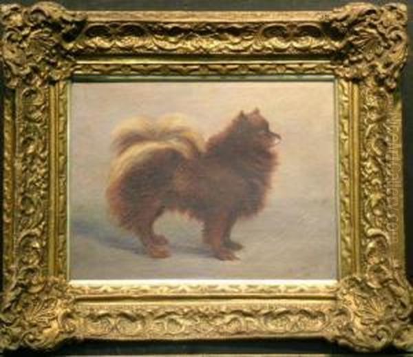 A Pomeranian Oil Painting by Mary Georgina Barton