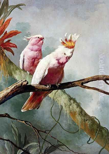 A Pair Of Leadbeaters Cockatoos Oil Painting by Jacques Barraband