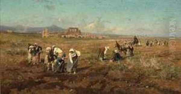 Working The Land On The Roman Campagna Oil Painting by Pietro Barucci