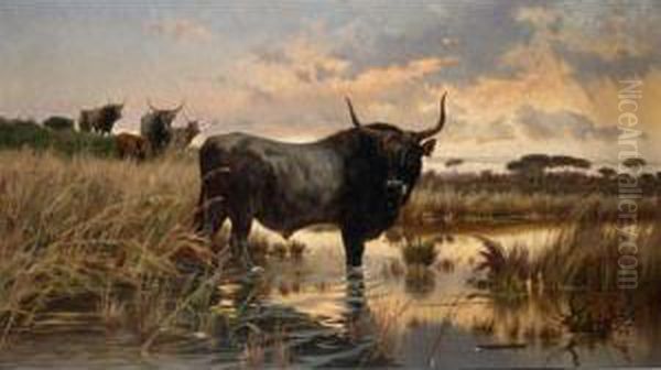 In The Pontine Marshes Oil Painting by Pietro Barucci