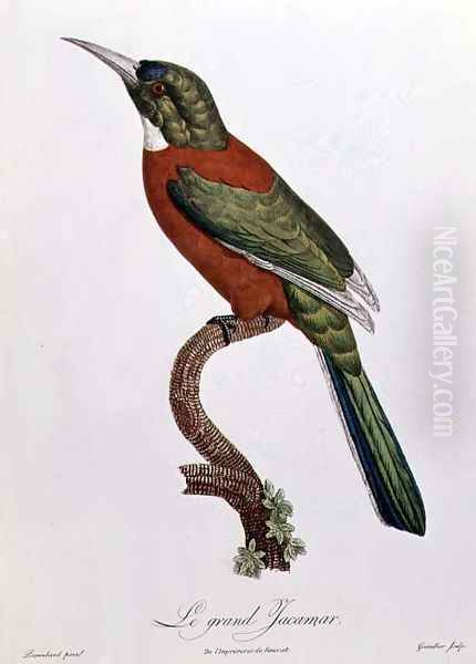 Great Jacamar Oil Painting by Jacques Barraband