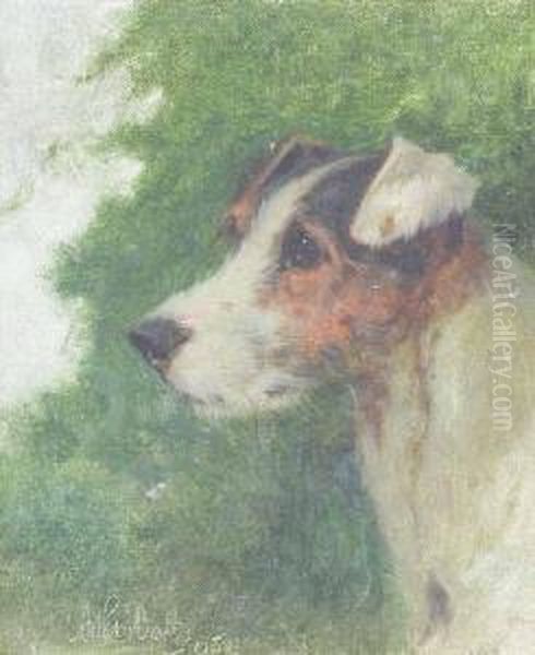 Head Of A Jack Russell Oil Painting by Arthur Batt