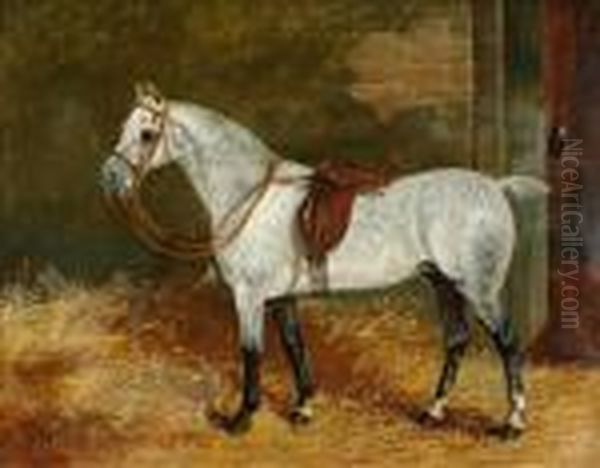 Portrait Of A Horse Oil Painting by Arthur Batt