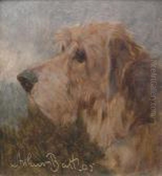 Head Study Of A Dog Oil Painting by Arthur Batt