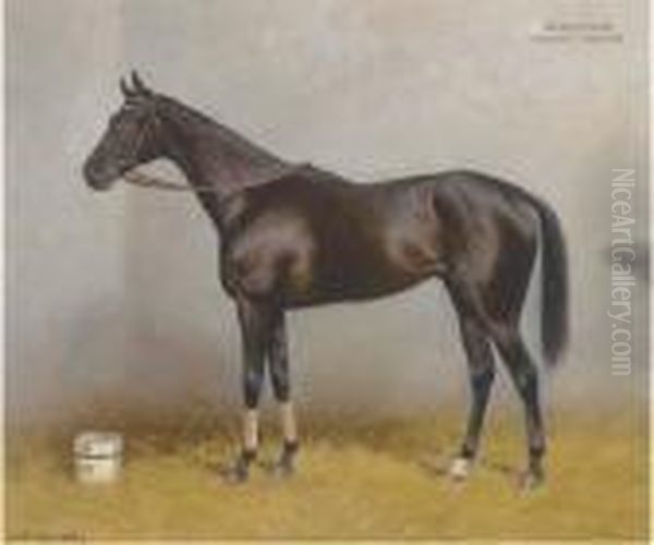 Szerencs, A Dark Brown Racehorse In A Stable Oil Painting by C. Bauer