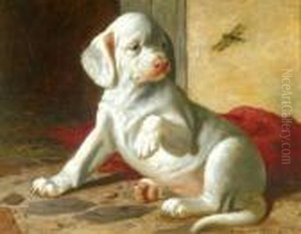 Hounded Pup Oil Painting by James Henry Beard