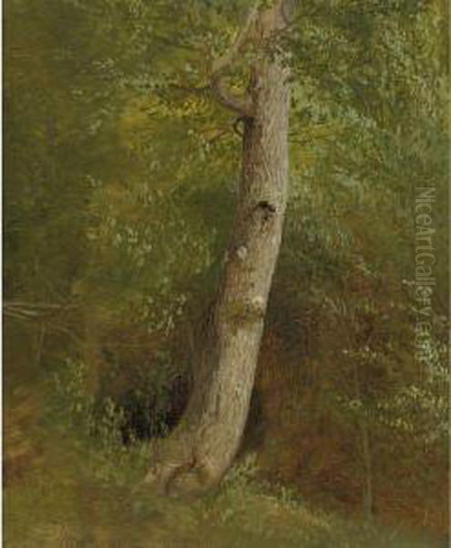 Study Of A Tree Oil Painting by William Holbrook Beard