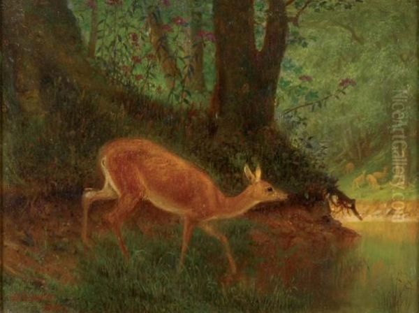 Deer In Forest Oil Painting by William Holbrook Beard