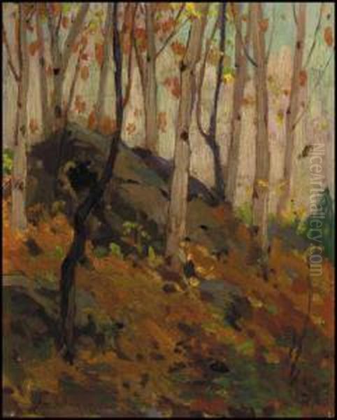 Birches, Canoe Lake, Algonquin Park Oil Painting by John William Beatty