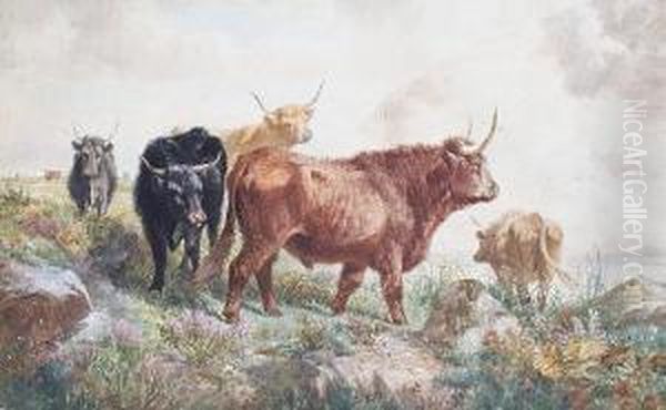 Highland Cattle Oil Painting by Richard Beavis