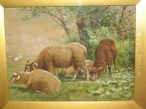 Sheep Grazing In A Field Oil Painting by Richard Beavis