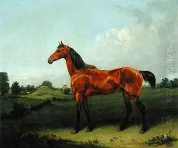 A Bay Horse in a Field Oil Painting by Edmund Bristow