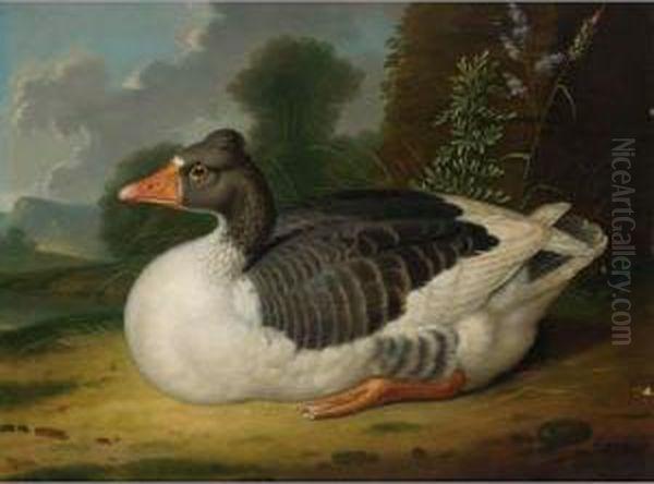 A Goose In A Landscape Oil Painting by Jacob Samuel Beck