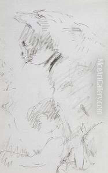 Sketch Of A Cat Oil Painting by Harry Becker