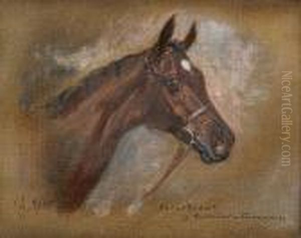 Covertcoat By Harckter - Cinnamon, Portrait Ofa Horse's Head With White Star Oil Painting by John Beer