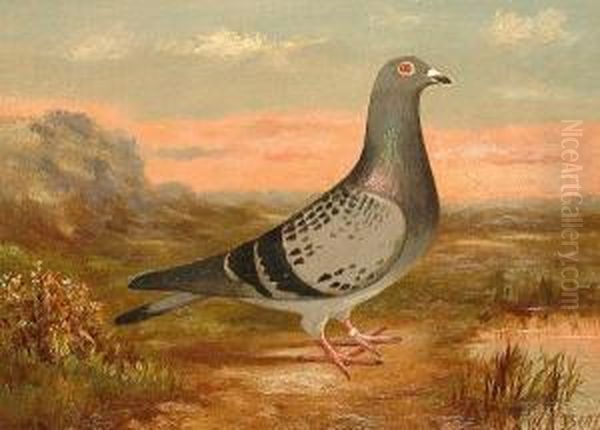 A Pigeon In A Landscape Oil Painting by Wilhelm Amandus Beer