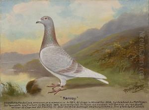 Ramsey Oil Painting by William Andrew Beer