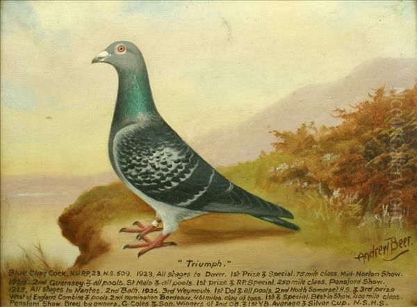 'young Aristocrat' And'triumph' - Pigeon Portraits Oil Painting by William Andrew Beer