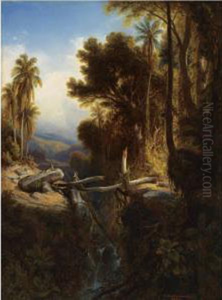 Paisaje De Venezuela Oil Painting by Ferdinand Konrad Bellermann