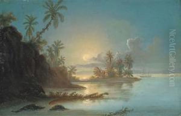 Sunset In The Orinoco Delta Oil Painting by Ferdinand Konrad Bellermann