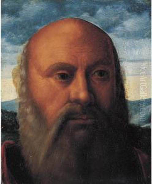 Head Of A Man, A Fragment Oil Painting by Giovanni Bellini