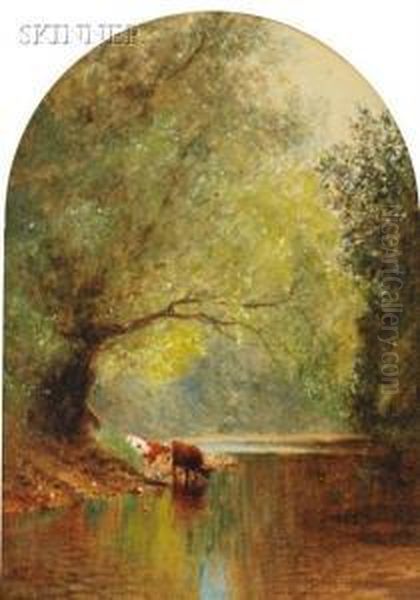 Cows Drinking At Stream Under Spreading Trees Oil Painting by Albert (Fitch) Bellows