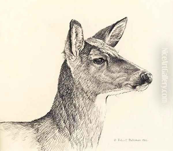 White-Tailed Deer Oil Painting by Robert Bateman