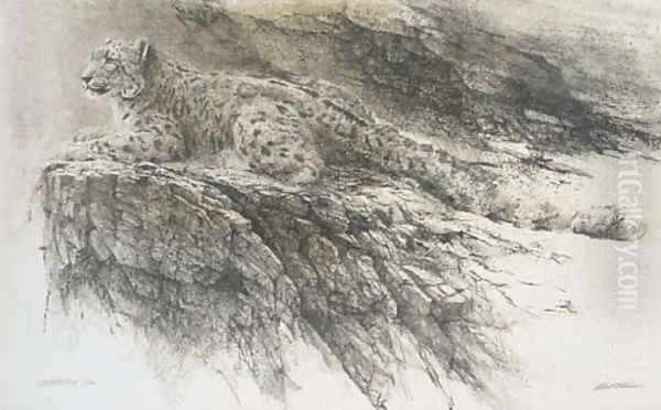 Leopard on a rock Oil Painting by Robert Bateman