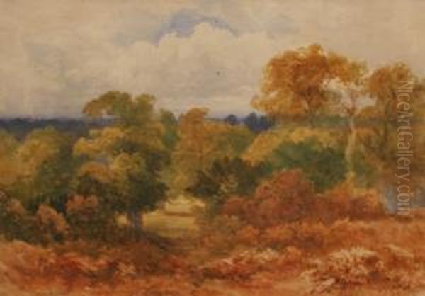 Untitled Landscape Oil Painting by William James Bennett