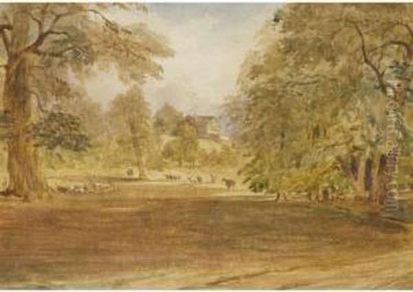 Deer On Diana Hill, Shrubland Park Oil Painting by William James Bennett