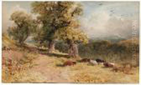 Cattle Resting In A Wooded Landscape Oil Painting by William James Bennett